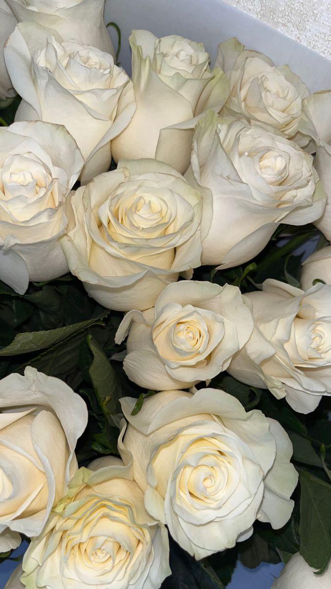 Mystic Twilight Serenade Floral Symphony
